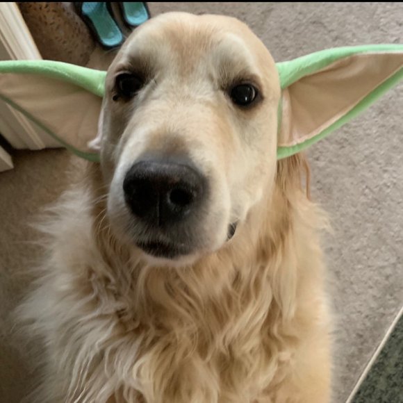 Unique MandalorianChild Fabric Headband | 1 Pc, One Size, Multicolor - Picture 1 of 4